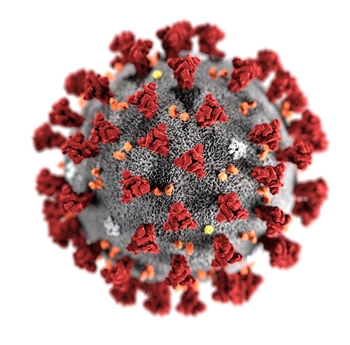 Coronavirus-CDC.jpg